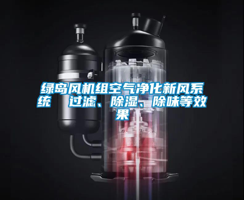 綠島風(fēng)機組空氣凈化新風(fēng)系統(tǒng)  過濾、除濕、除味等效果