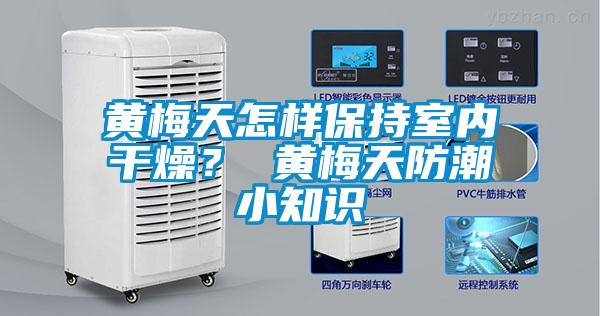 黃梅天怎樣保持室內干燥？ 黃梅天防潮小知識