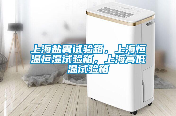 上海鹽霧試驗箱，上海恒溫恒濕試驗箱，上海高低溫試驗箱