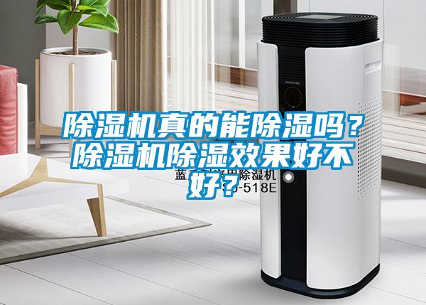 除濕機真的能除濕嗎？除濕機除濕效果好不好？