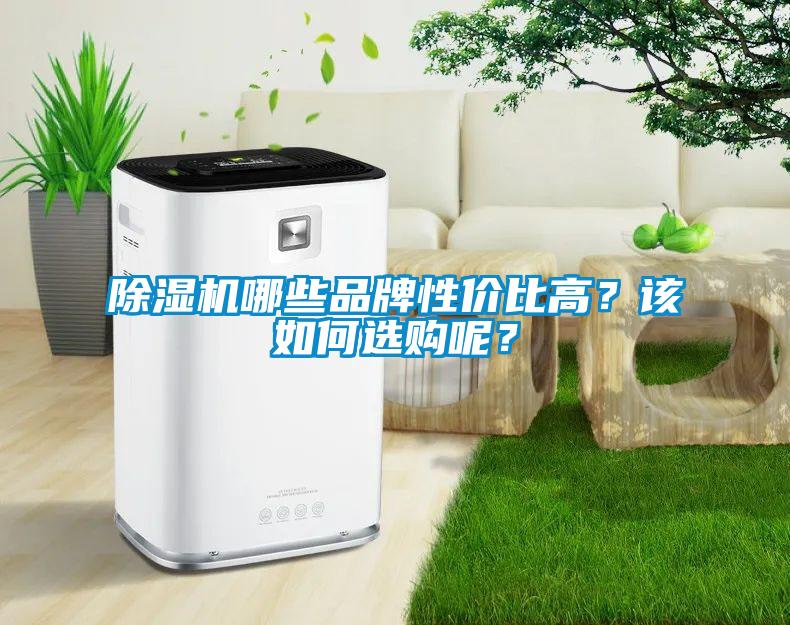 除濕機哪些品牌性價比高？該如何選購呢？
