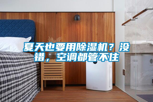 夏天也要用除濕機？沒錯，空調都管不住