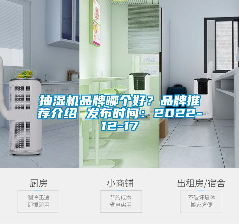 抽濕機品牌哪個好？品牌推薦介紹 發布時間：2022-12-17