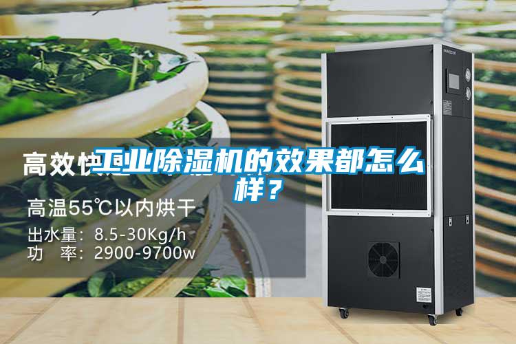 工業除濕機的效果都怎么樣？