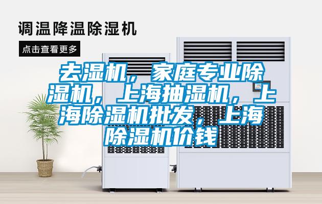 去濕機，家庭專業除濕機，上海抽濕機，上海除濕機批發，上海除濕機價錢