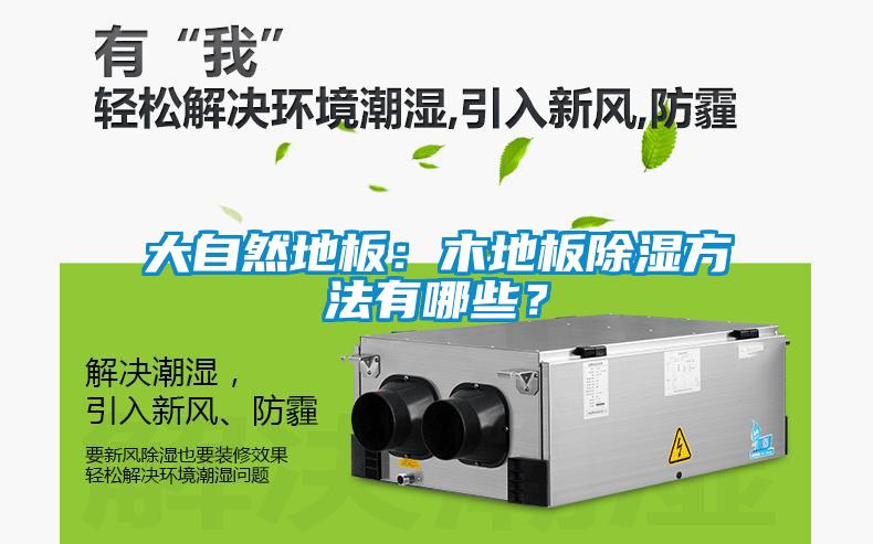 大自然地板：木地板除濕方法有哪些？