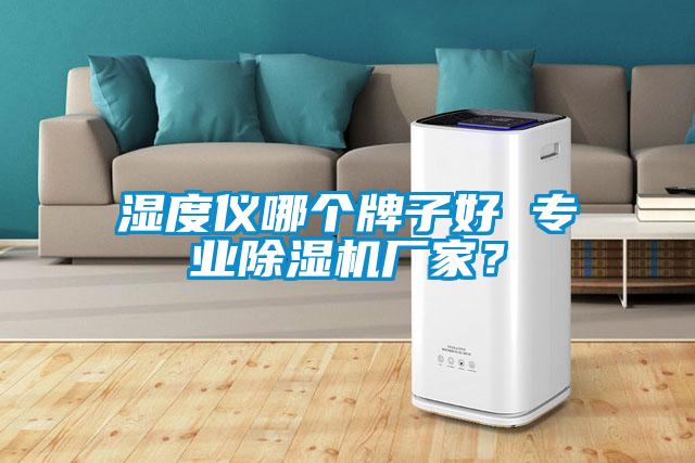 濕度儀哪個(gè)牌子好 專業(yè)除濕機(jī)廠家？