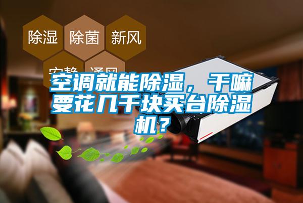 空調(diào)就能除濕，干嘛要花幾千塊買臺除濕機(jī)？