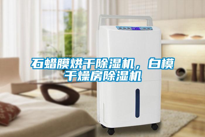 石蠟?zāi)ず娓沙凉駲C(jī)，白模干燥房除濕機(jī)