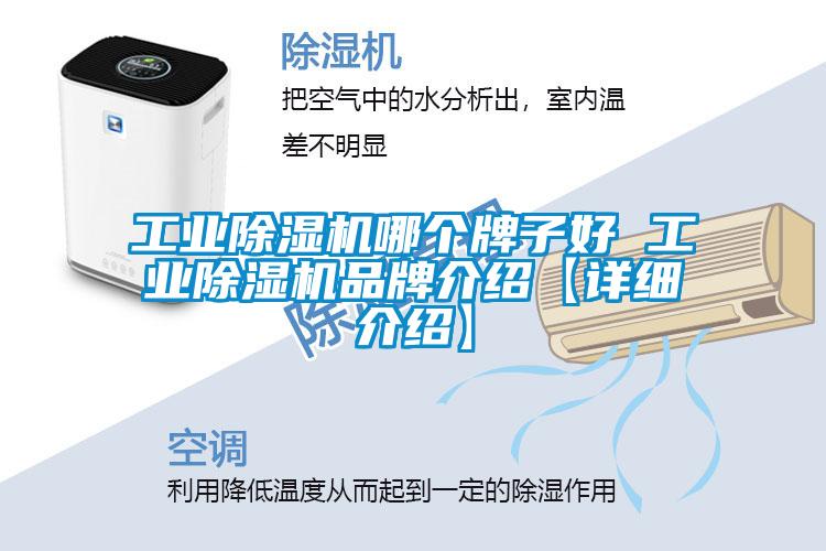 工業(yè)除濕機(jī)哪個牌子好 工業(yè)除濕機(jī)品牌介紹【詳細(xì)介紹】