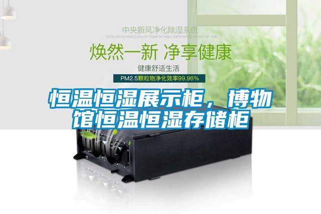 恒溫恒濕展示柜，博物館恒溫恒濕存儲(chǔ)柜