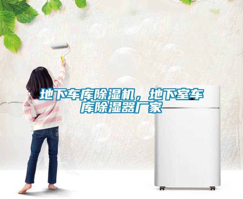地下車(chē)庫(kù)除濕機(jī)，地下室車(chē)庫(kù)除濕器廠家