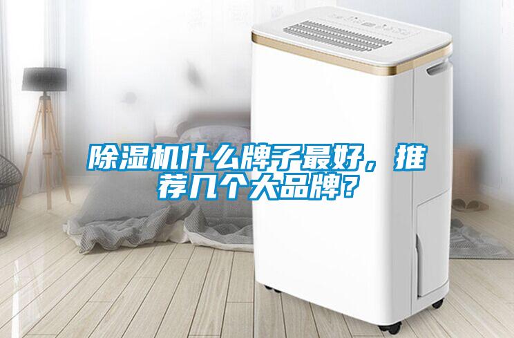 除濕機什么牌子最好，推薦幾個大品牌？