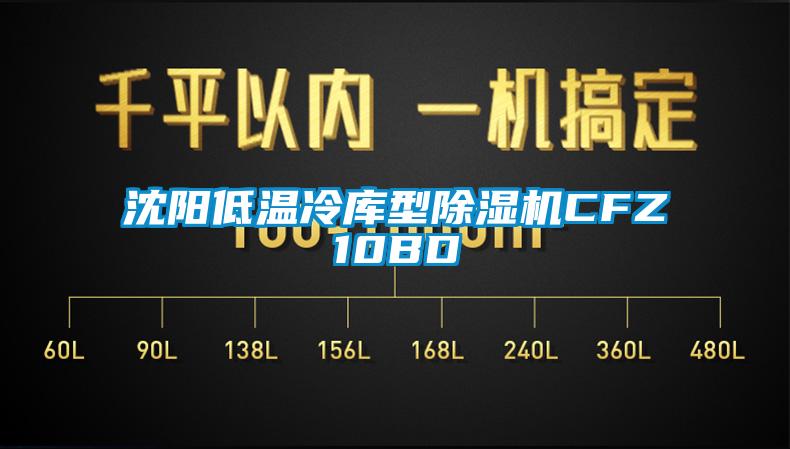 沈陽低溫冷庫(kù)型除濕機(jī)CFZ10BD