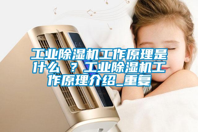 工業(yè)除濕機工作原理是什么 ？工業(yè)除濕機工作原理介紹_重復(fù)