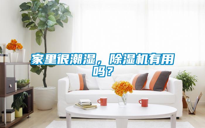 家里很潮濕，除濕機(jī)有用嗎？