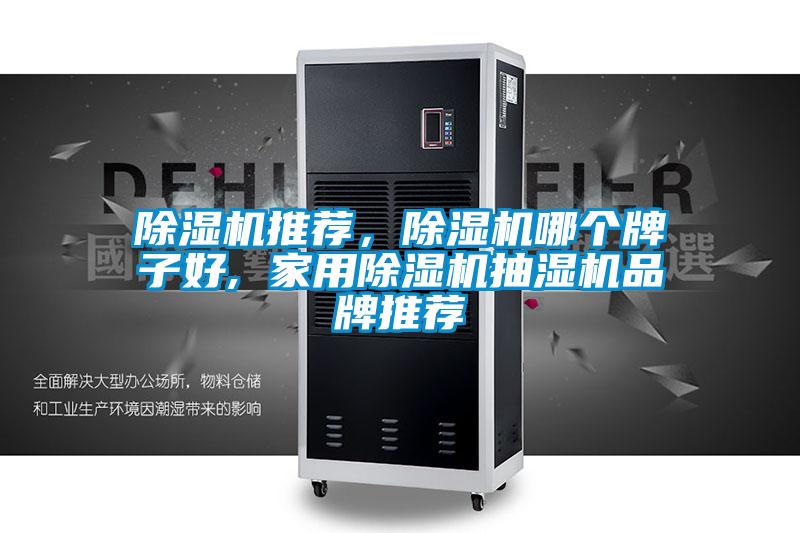 除濕機推薦，除濕機哪個牌子好, 家用除濕機抽濕機品牌推薦