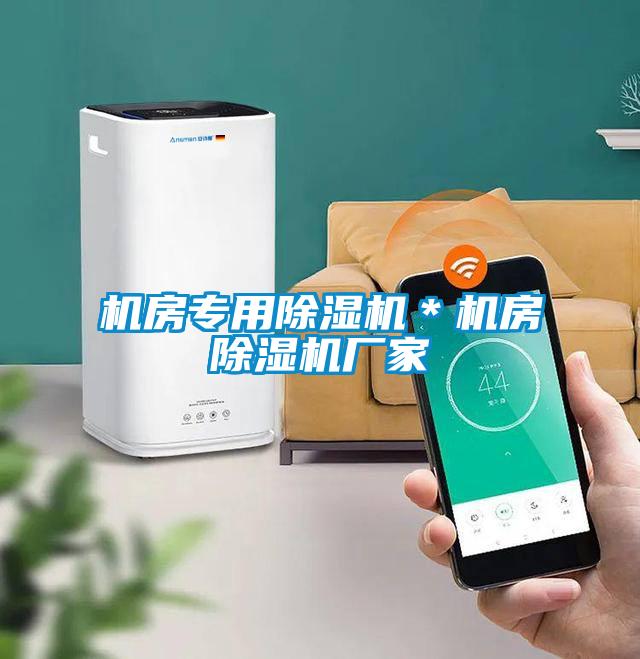 機(jī)房專(zhuān)用除濕機(jī)＊機(jī)房除濕機(jī)廠家