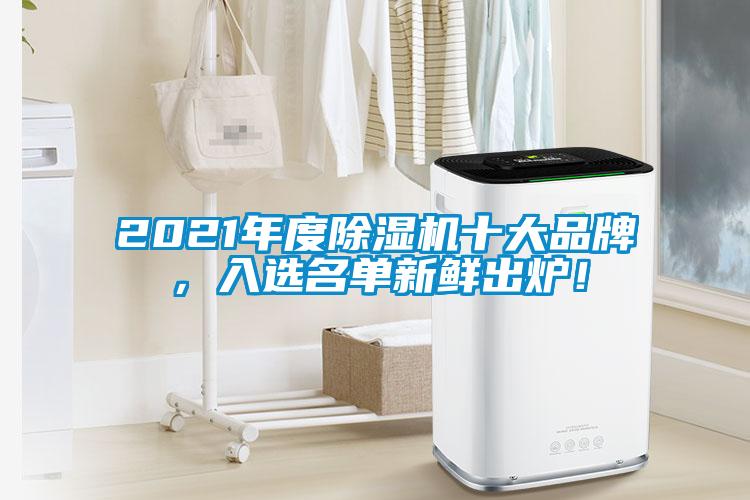 2021年度除濕機(jī)十大品牌，入選名單新鮮出爐！
