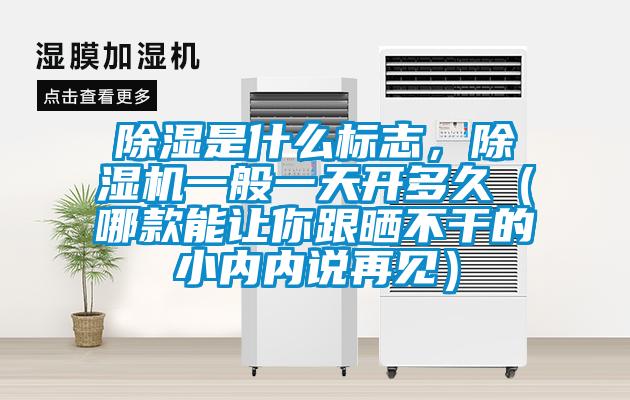 除濕是什么標志，除濕機一般一天開多久（哪款能讓你跟曬不干的小內內說再見）