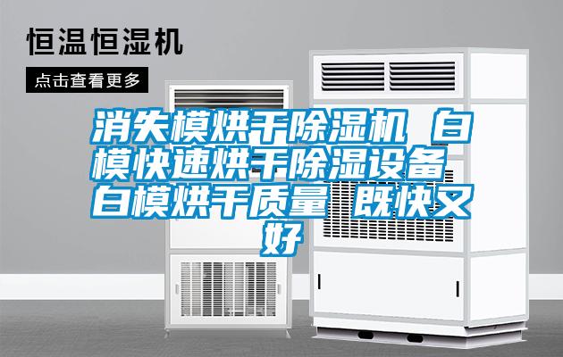 消失模烘干除濕機 白?？焖俸娓沙凉裨O備 白模烘干質量 既快又好