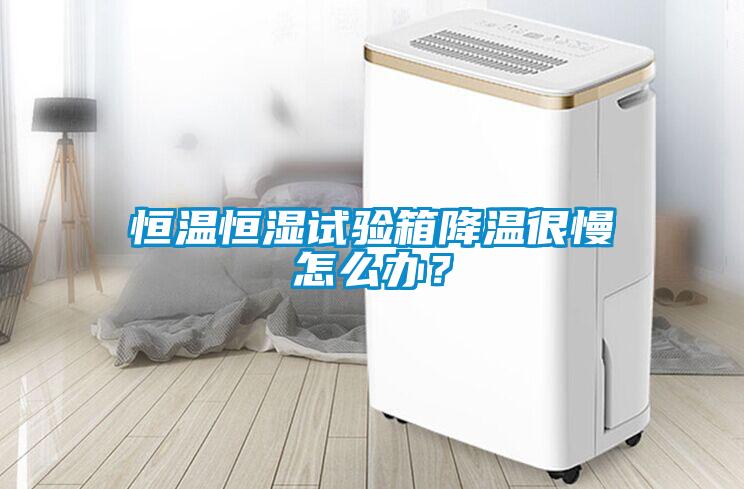 恒溫恒濕試驗箱降溫很慢怎么辦？
