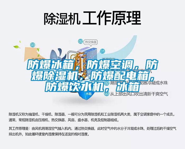 防爆冰箱，防爆空調，防爆除濕機，防爆配電箱，防爆飲水機，冰箱