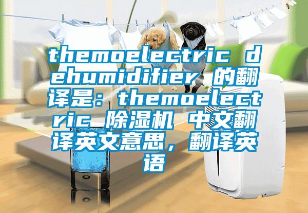 themoelectric dehumidifier 的翻譯是：themoelectric 除濕機 中文翻譯英文意思，翻譯英語