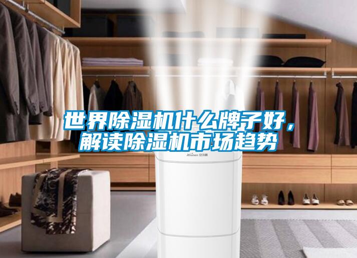 世界除濕機什么牌子好，解讀除濕機市場趨勢