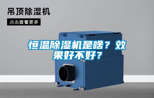 恒溫除濕機是啥？效果好不好？