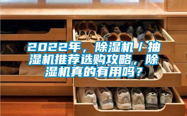 2022年，除濕機／抽濕機推薦選購攻略，除濕機真的有用嗎？