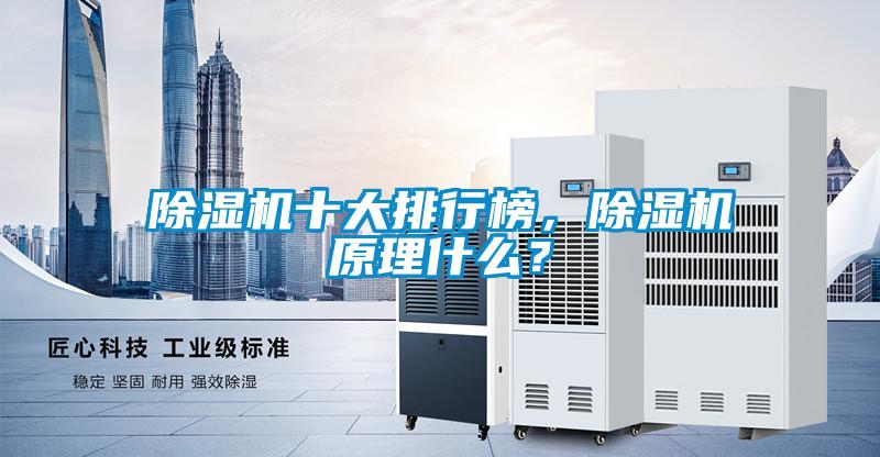 除濕機十大排行榜，除濕機原理什么？