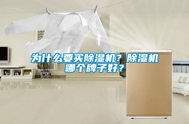 為什么要買除濕機？除濕機哪個牌子好？