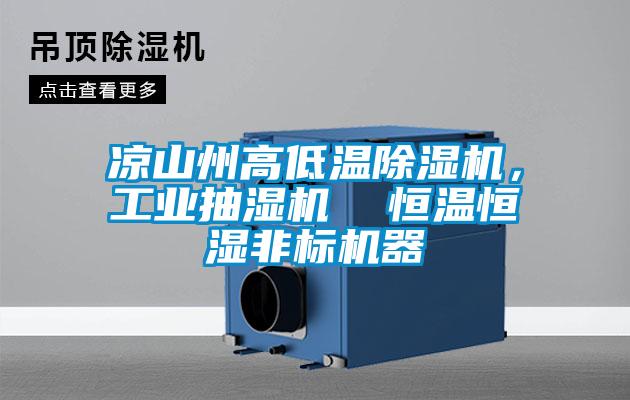 涼山州高低溫除濕機，工業抽濕機  恒溫恒濕非標機器