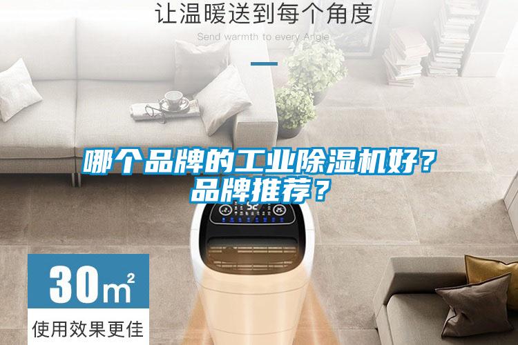 哪個品牌的工業(yè)除濕機好？品牌推薦？