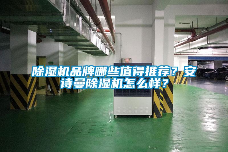 除濕機(jī)品牌哪些值得推薦？安詩(shī)曼除濕機(jī)怎么樣？