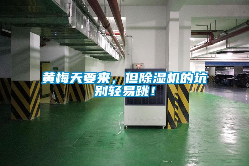 黃梅天要來，但除濕機的坑別輕易跳！
