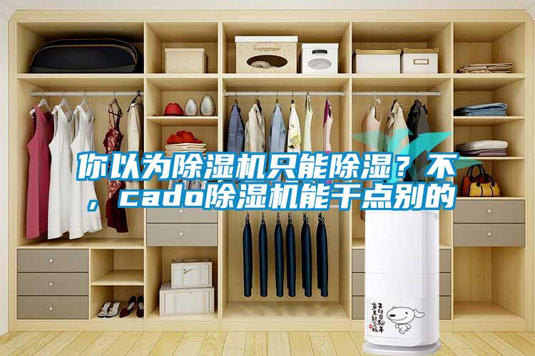 你以為除濕機只能除濕？不，cado除濕機能干點別的