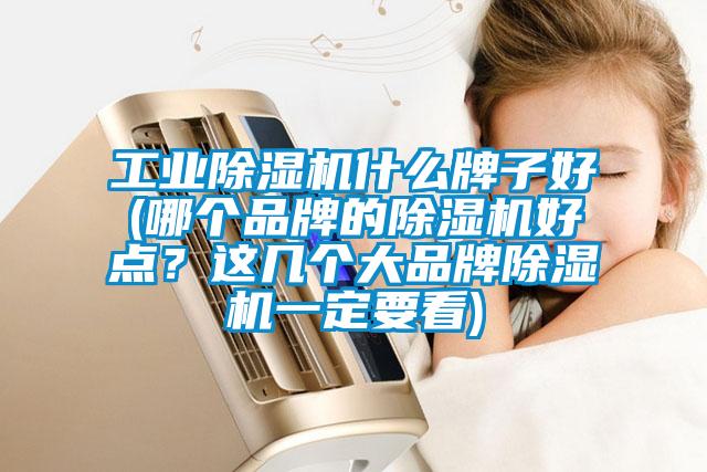 工業(yè)除濕機(jī)什么牌子好(哪個品牌的除濕機(jī)好點(diǎn)？這幾個大品牌除濕機(jī)一定要看)