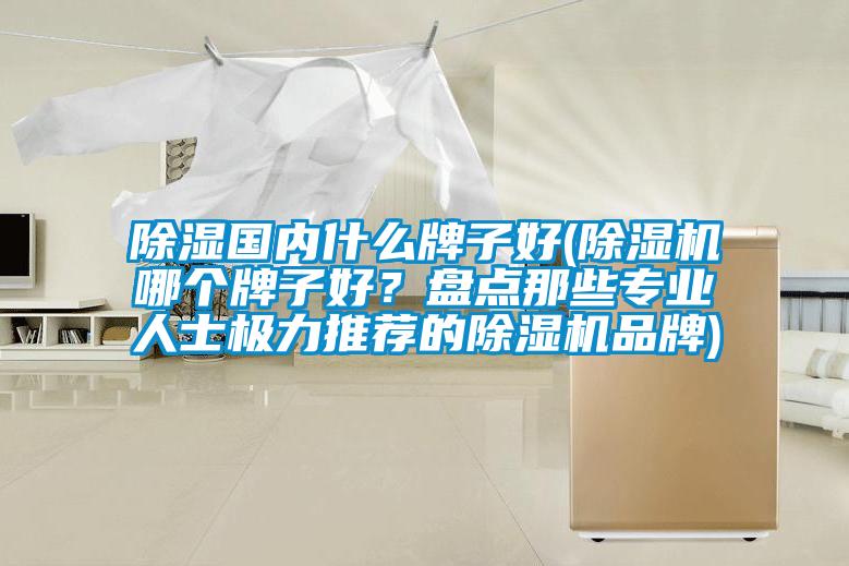 除濕國內(nèi)什么牌子好(除濕機(jī)哪個(gè)牌子好？盤點(diǎn)那些專業(yè)人士極力推薦的除濕機(jī)品牌)