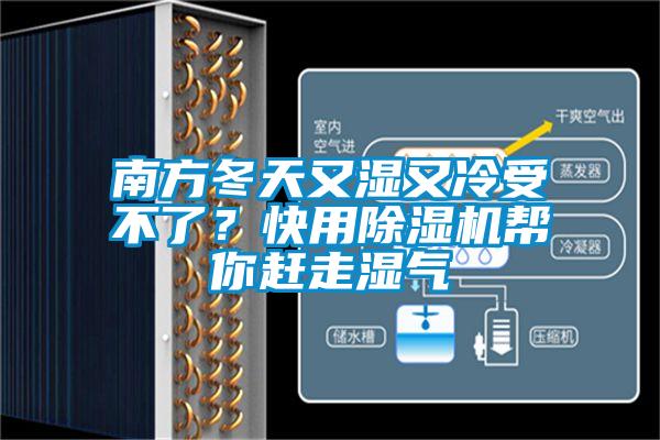 南方冬天又濕又冷受不了？快用除濕機幫你趕走濕氣