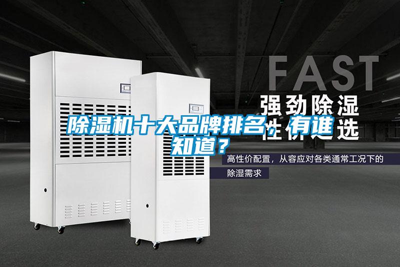 除濕機十大品牌排名，有誰知道？