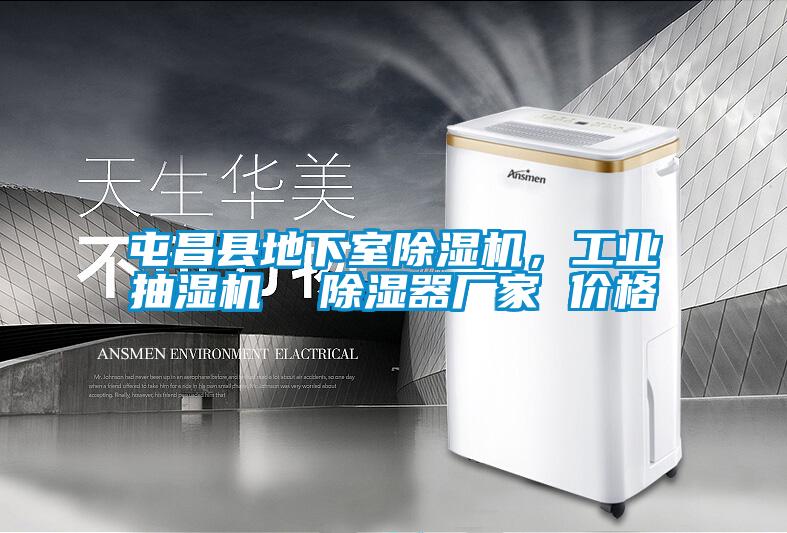 屯昌縣地下室除濕機(jī)，工業(yè)抽濕機(jī)  除濕器廠家 價(jià)格