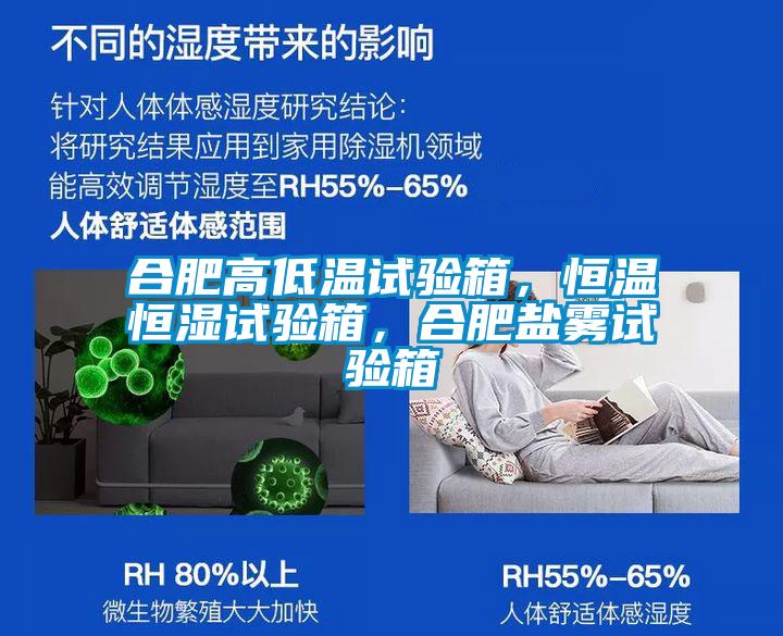 合肥高低溫試驗箱，恒溫恒濕試驗箱，合肥鹽霧試驗箱