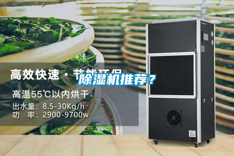 除濕機推薦？