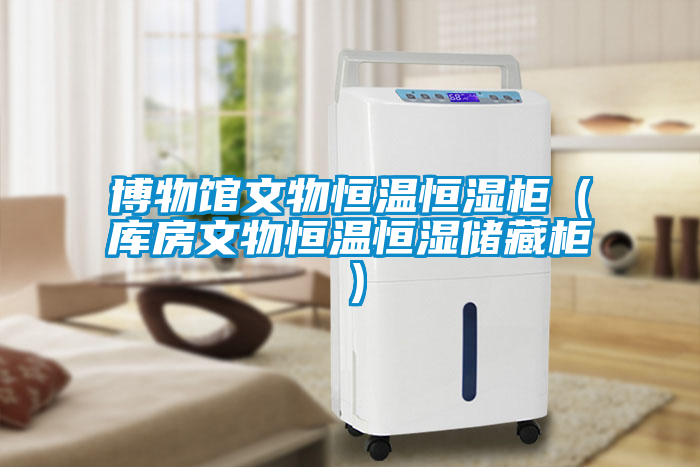 博物館文物恒溫恒濕柜（庫房文物恒溫恒濕儲(chǔ)藏柜）