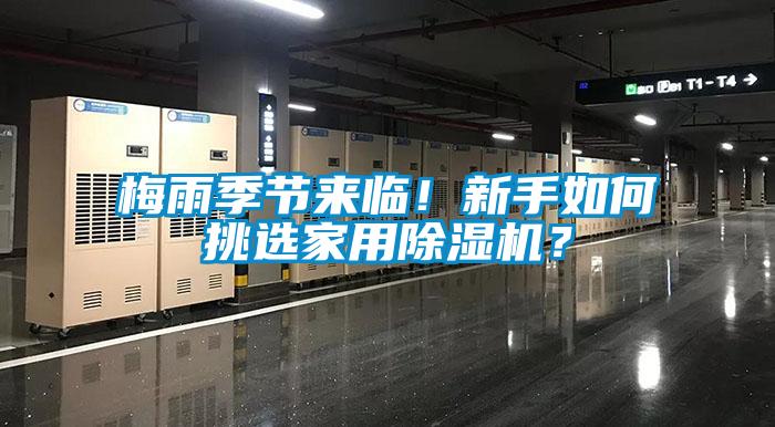 梅雨季節來臨！新手如何挑選家用除濕機？