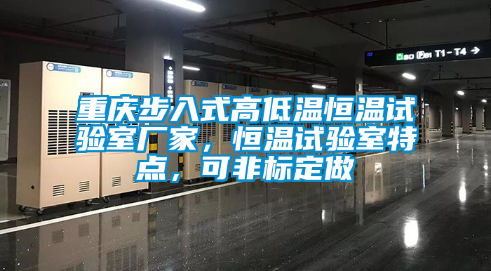 重慶步入式高低溫恒溫試驗(yàn)室廠家，恒溫試驗(yàn)室特點(diǎn)，可非標(biāo)定做