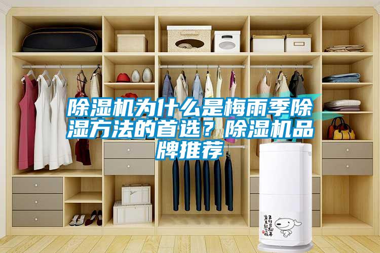 除濕機為什么是梅雨季除濕方法的首選？除濕機品牌推薦