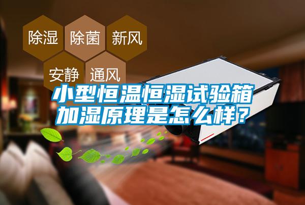 小型恒溫恒濕試驗箱加濕原理是怎么樣？